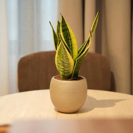 Lägenhet Nea Deluxe